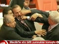 Turkse parlementsleden op de vuist